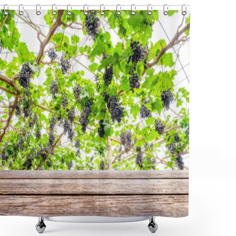 Personality  Table Wood Top On Grape Bunch In Vineyard Shower Curtains