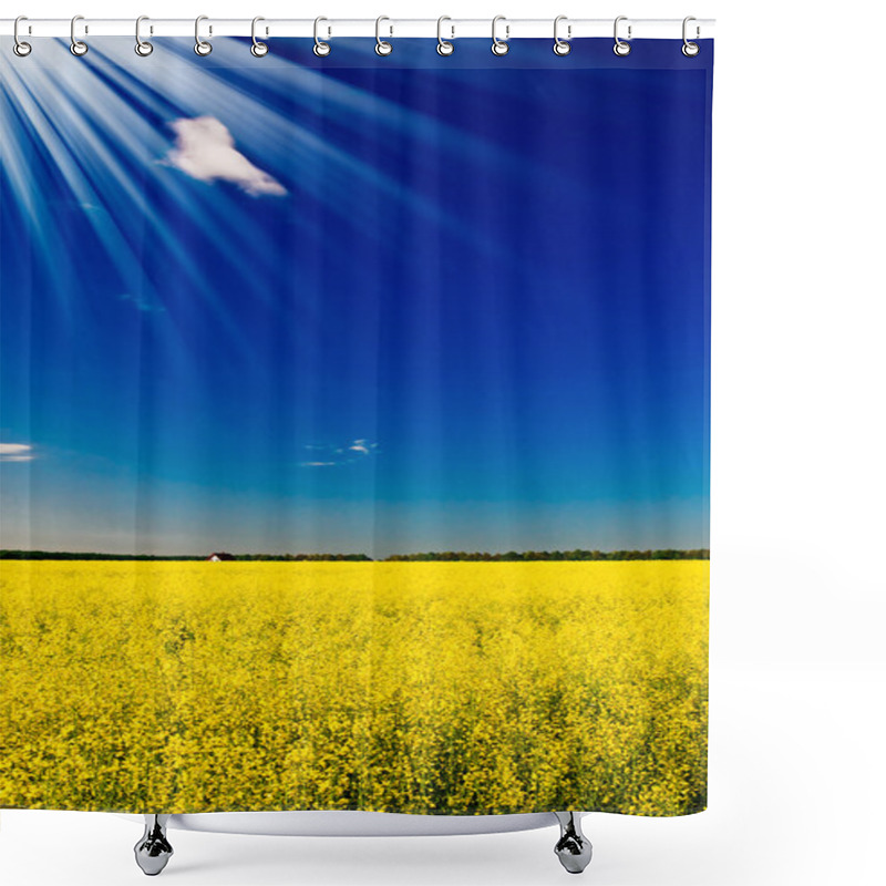 Personality  Fine House Among Golden Rapeseed Field . Shower Curtains