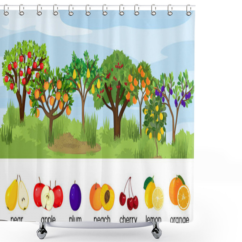 Personality   Landscape With Different Fruit Trees With Ripe Fruits Isolated On White Background. Harvest Time Shower Curtains