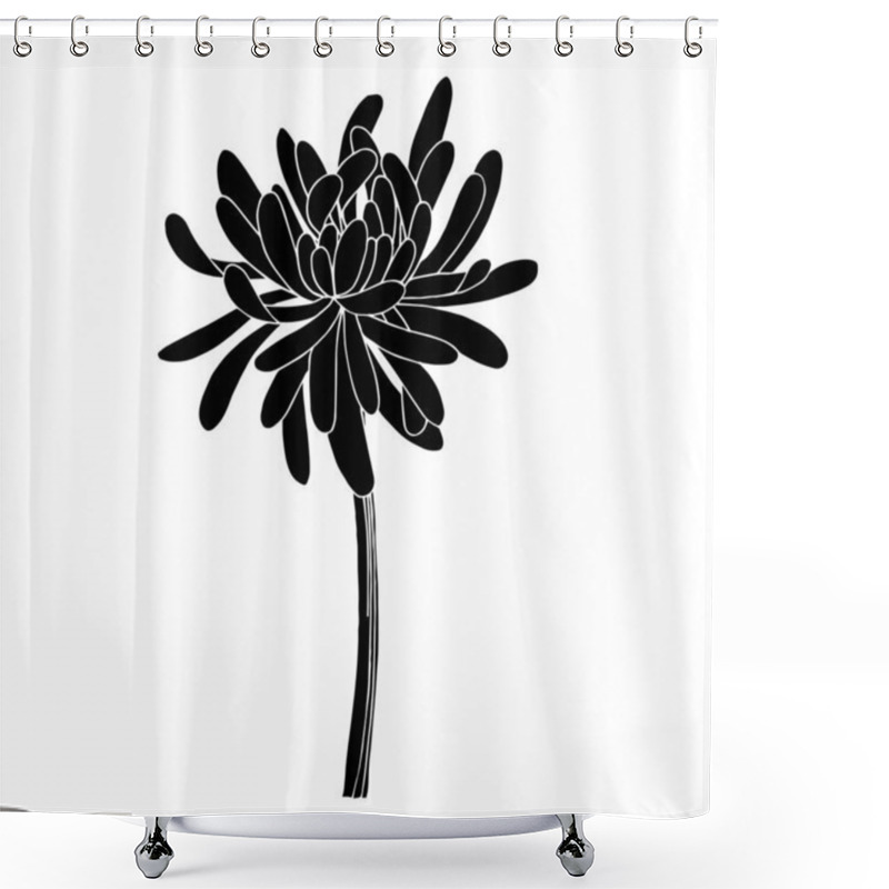 Personality  Vector Chrysanthemum Botanical Flower. Black And White Engraved Ink Art. Isolated Chrysanthemum Illustration Element. Shower Curtains