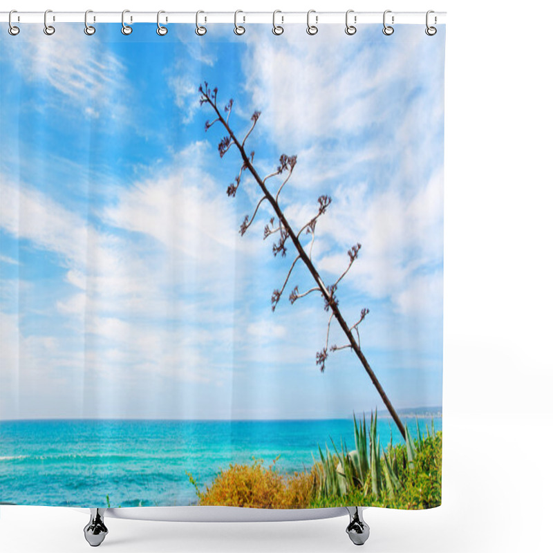 Personality  Agave Flower Like Mediterranean Scenery Shower Curtains