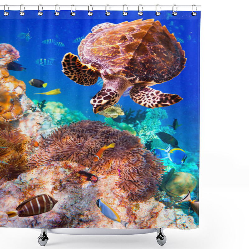 Personality  Eretmochelys Imbricata Shower Curtains