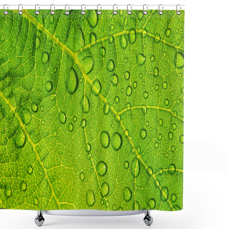 Personality  Water Drops On Fresh Green Leaf Textur Background Shower Curtains