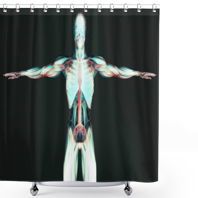 Personality  Human Anatomy Model Shower Curtains