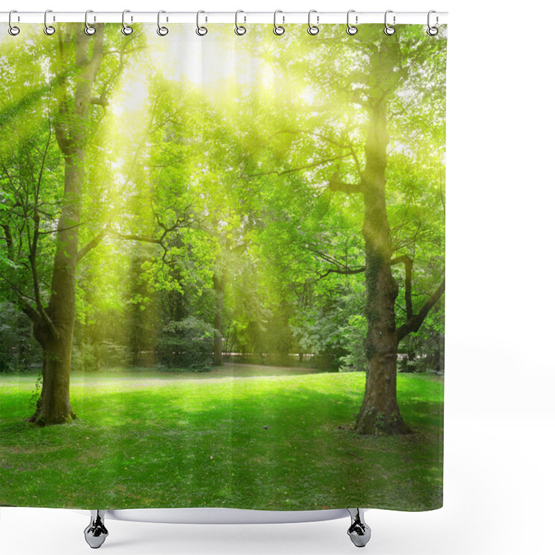 Personality  Sunlight Through Leaves Trees In Summer Park. Shower Curtains