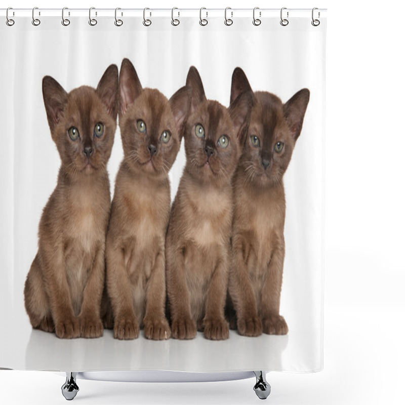 Personality  Group Of Burmese Kittens Shower Curtains