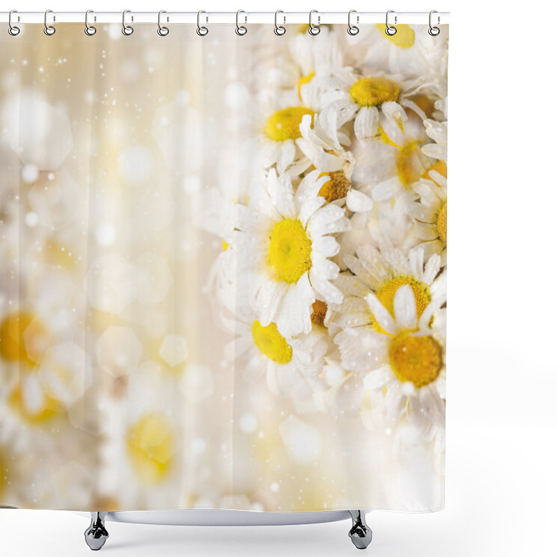 Personality  White Daisies Shower Curtains