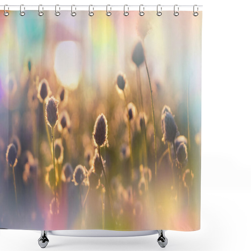 Personality  Sunny Day On The Flowers Meadow. Beautiful Natural Background. Wild Plants In Nature. Shower Curtains