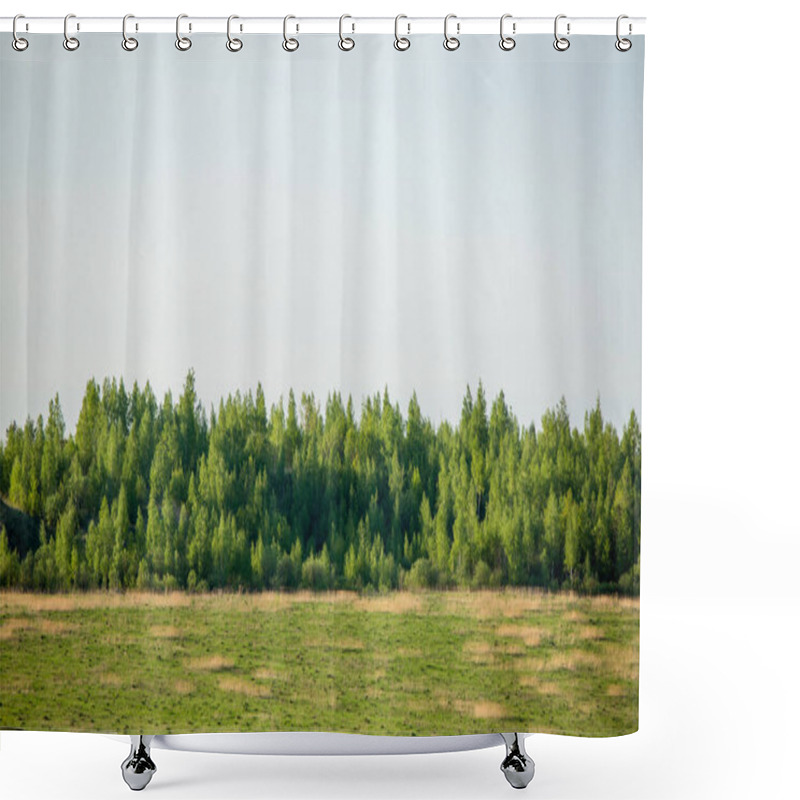 Personality  Photo Of Green Forest And Lawn Against Blue Sky During Day Shower Curtains