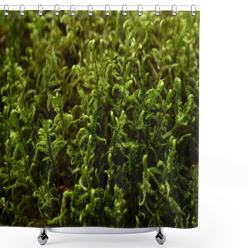 Personality  Haircap Moss, Lichen Background, Natural Moss Texture Shower Curtains