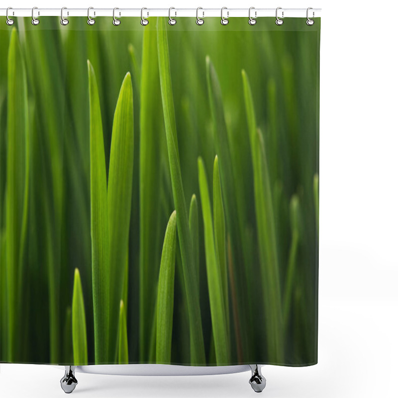 Personality  Grass Shower Curtains