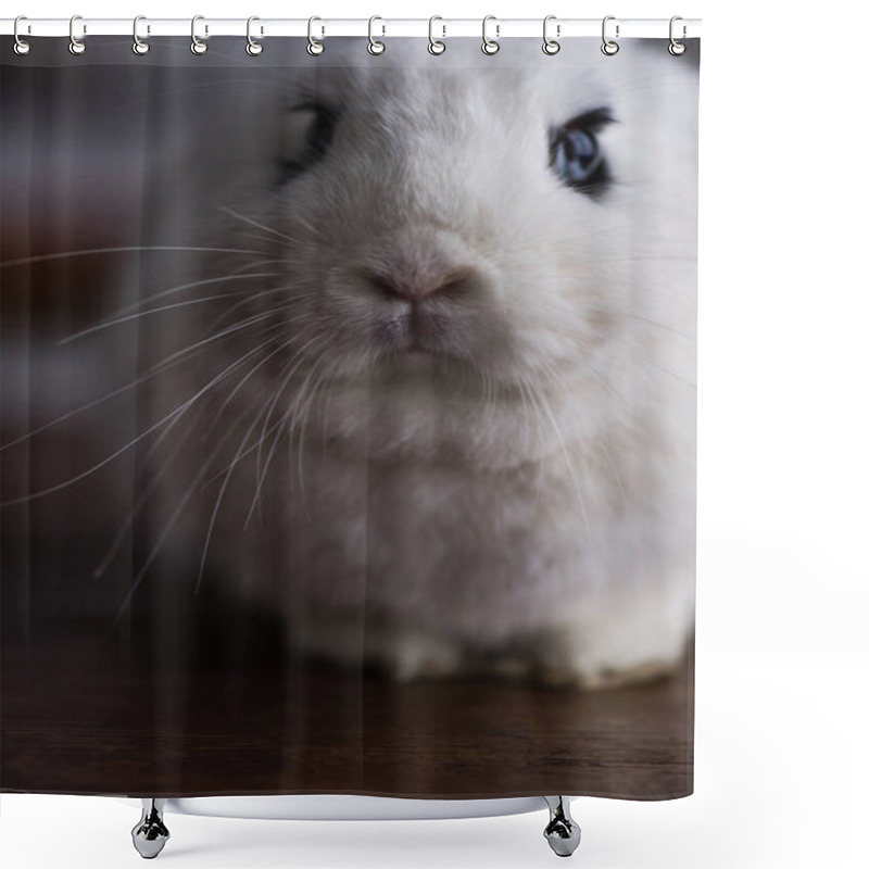 Personality  Cute Rabbit With Black Eye On Dark Background Shower Curtains