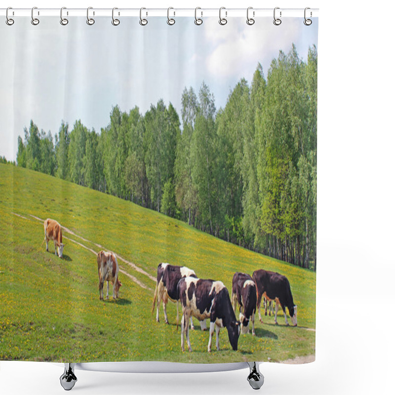 Personality  Meadow Full Of Dandelions With Grazing Cows Shower Curtains