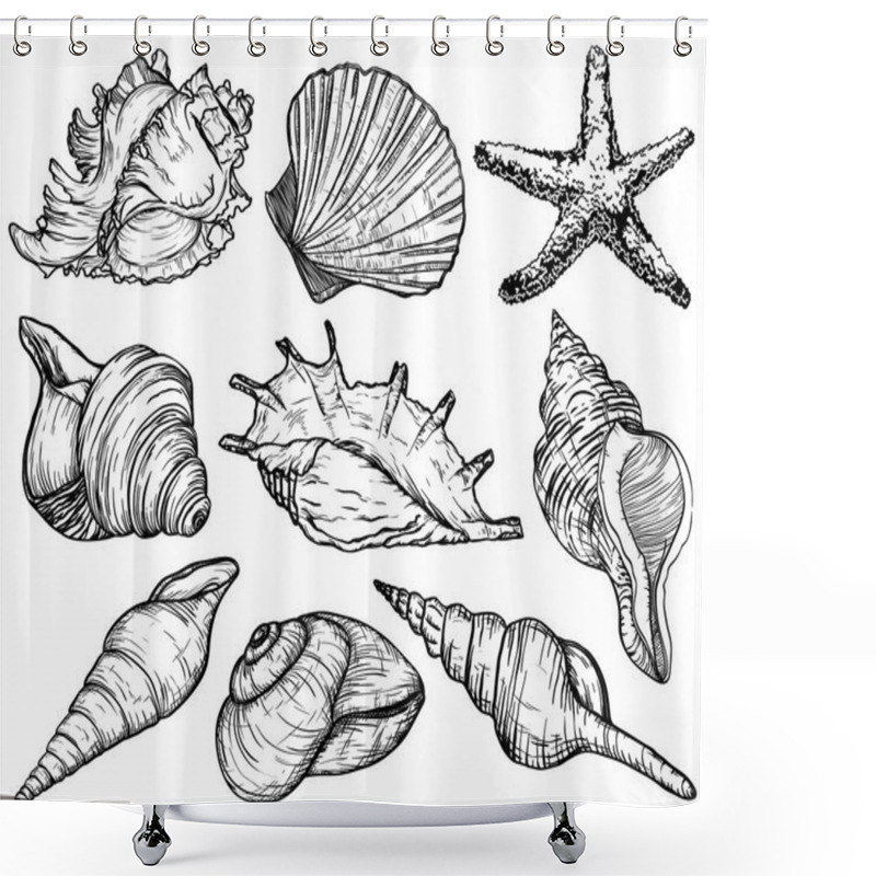 Personality  Set With Seashells And Starfish, Sea Mollusk Collection Shower Curtains