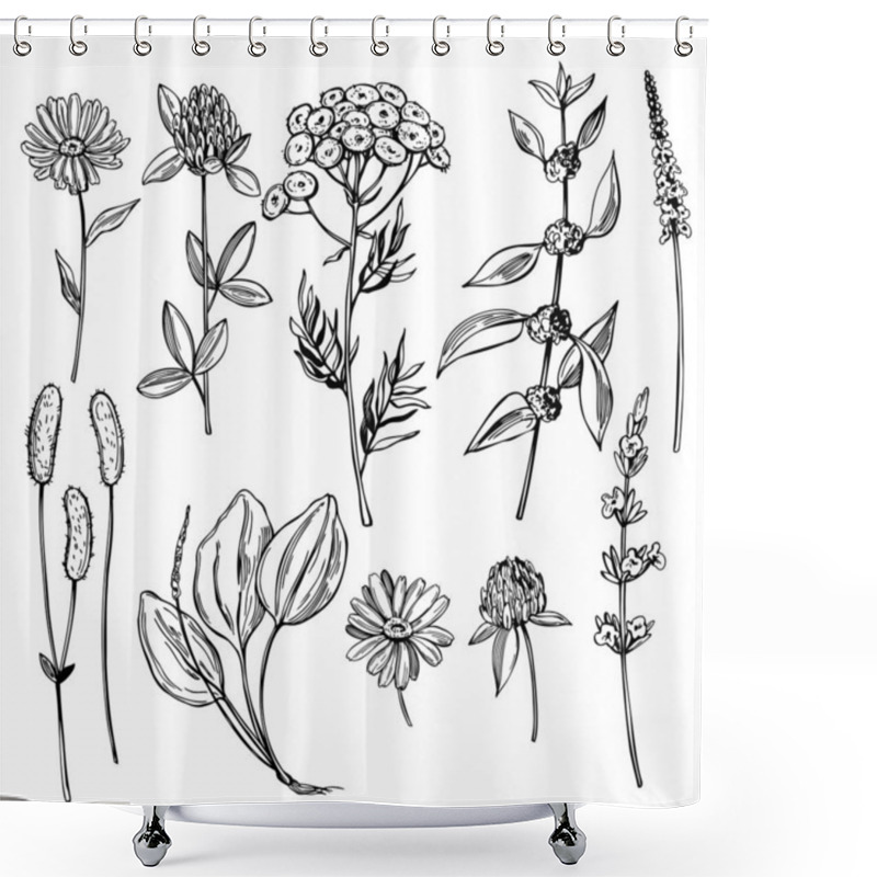 Personality  Hand Drawn Medicinal Herbs.Vector Sketch  Illustration. Shower Curtains