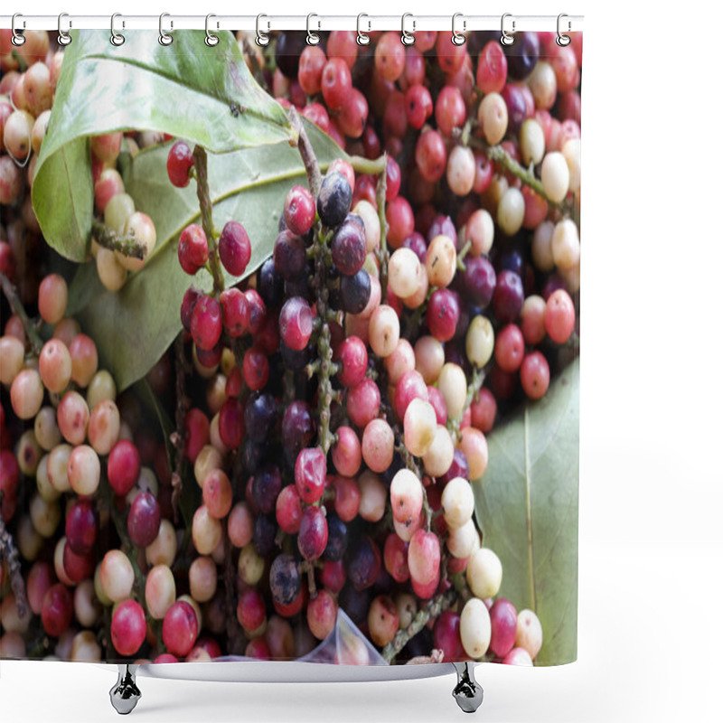 Personality  Antidesma Thwaitesianum Mull.Arg., Ma-mao (thai Name) Isan Regio Shower Curtains