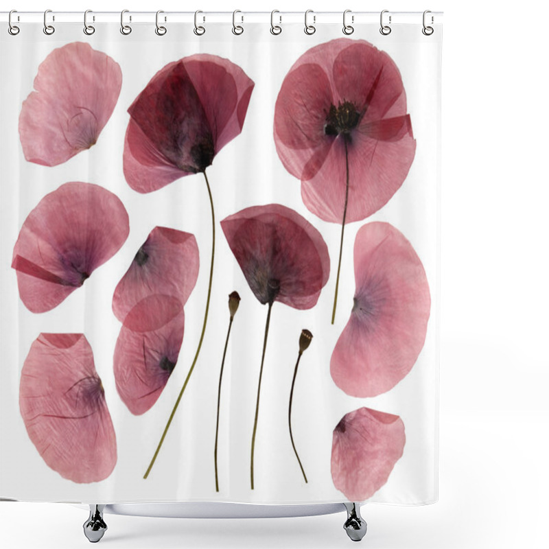 Personality  Dry, Pressed Poppy Flowers Isolated On White Background Shower Curtains