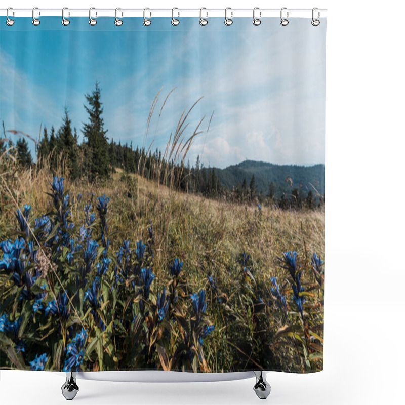 Personality  Blue Wildflowers In Field Near Green Trees Against Sky Shower Curtains