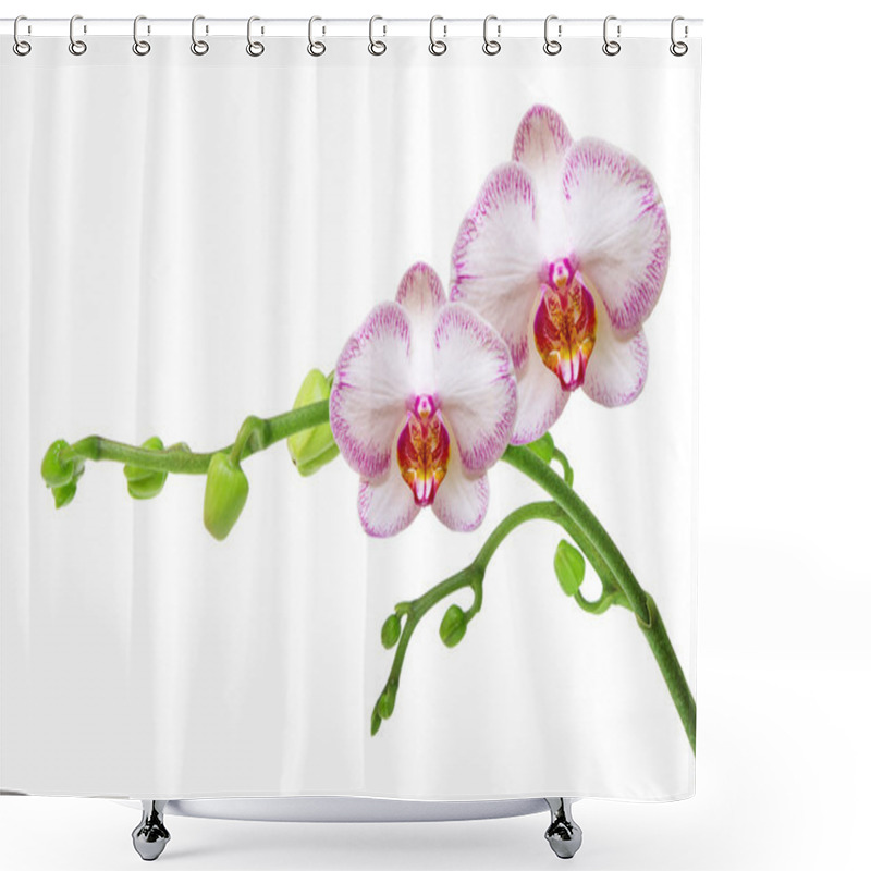 Personality  Orchid Flower Shower Curtains