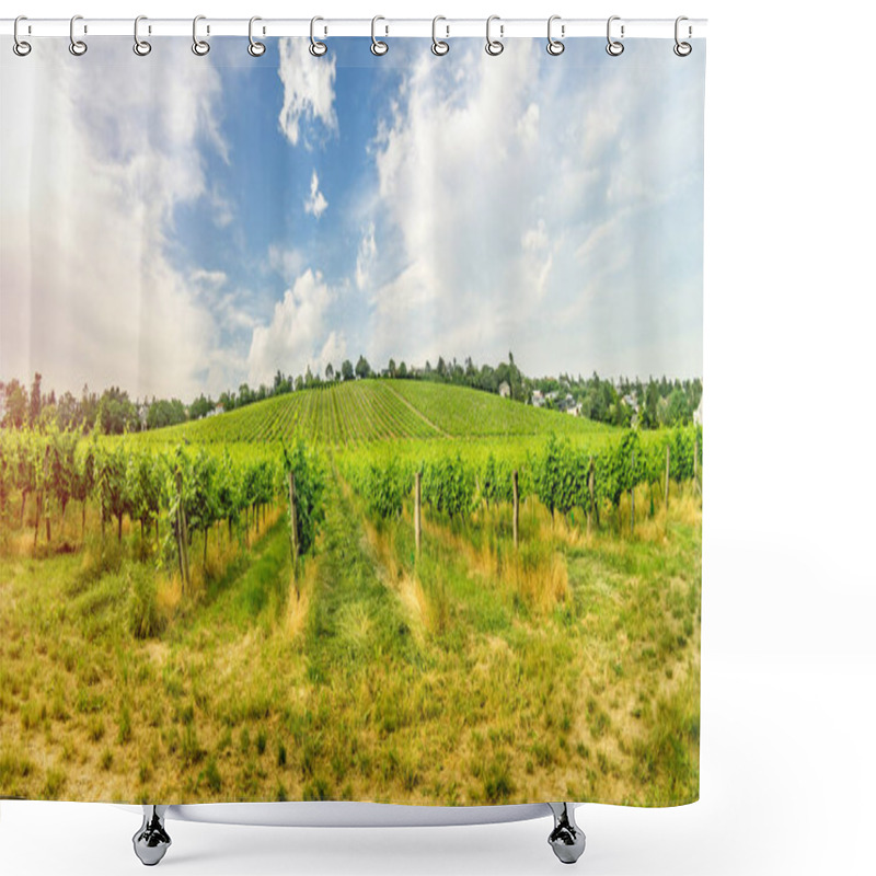 Personality  Vineyard On Bright Summer Day Under Blue Sky With White Clouds In Vienna Shower Curtains