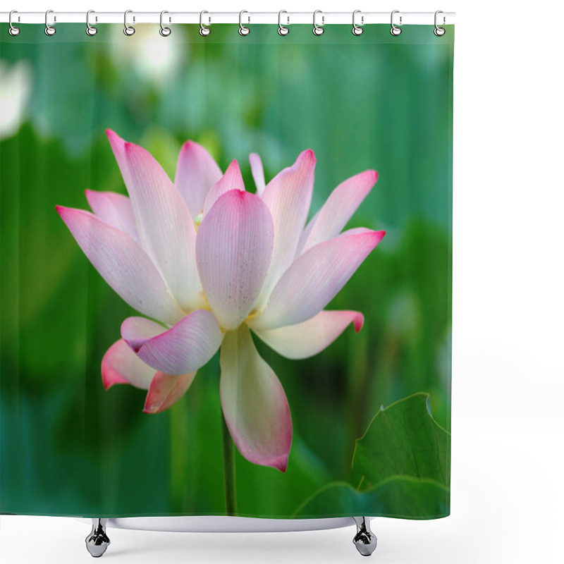 Personality  Blooming Of Lotus Flower Shower Curtains