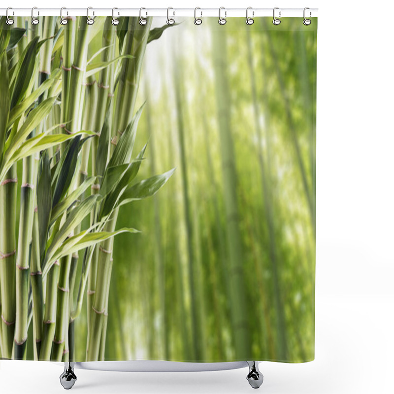 Personality  Fresh Green Bamboo Shower Curtains