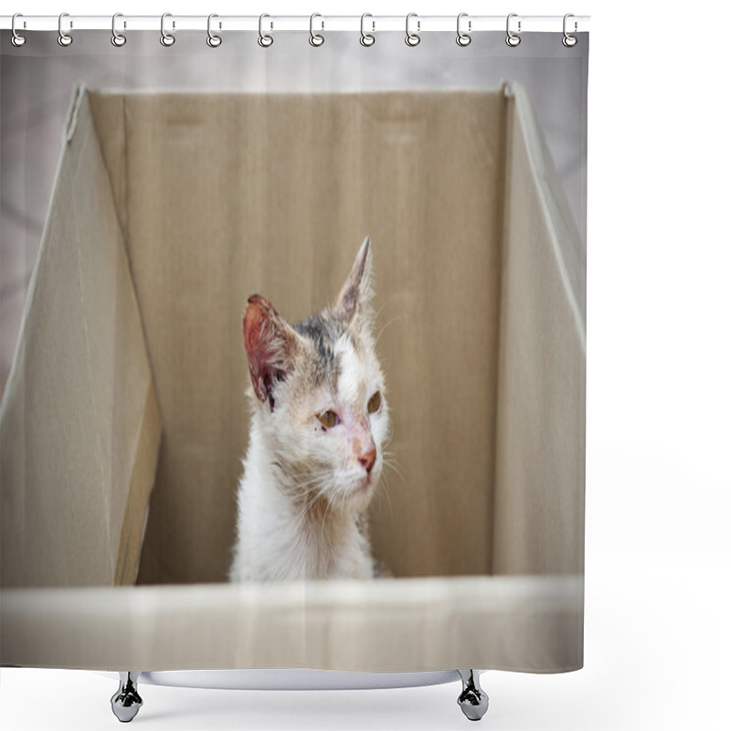 Personality  Stray Cat Being Rescued Shower Curtains