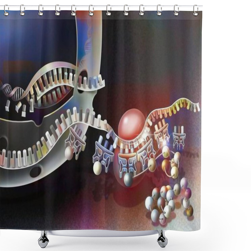 Personality  Transcription Of DNA Into Messenger RNA And Its Translation. Shower Curtains