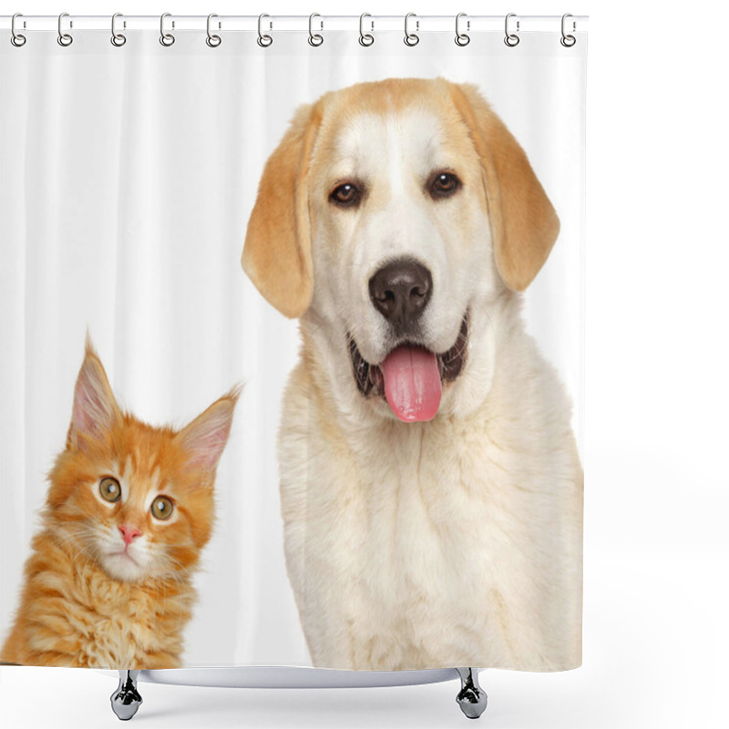 Personality  Kitten And Puppy Together, Isolated On White Background. Animal Themes Shower Curtains