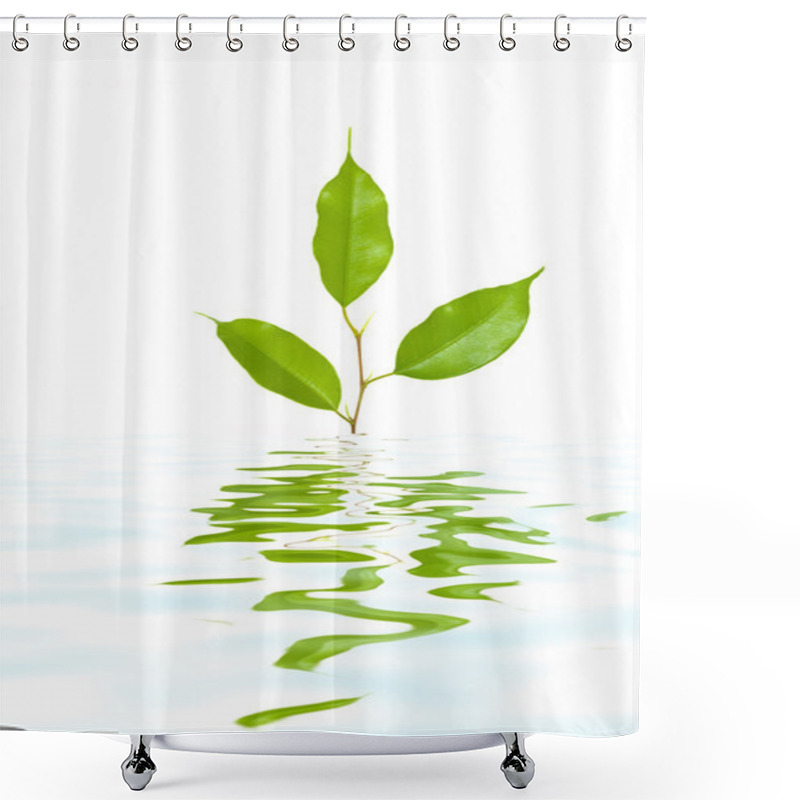 Personality  Plant In Water Shower Curtains