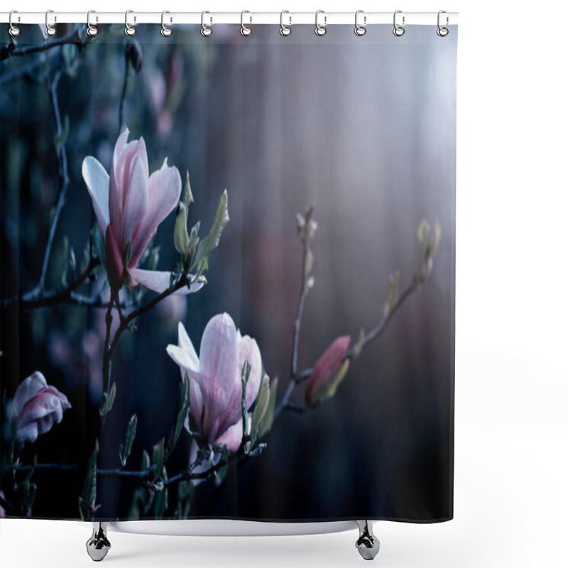 Personality  Magnolia Flowers On A Sunny Day, Close-up. Magnolia Tree With Beautiful Pink Petals Outside. Spring Magnolia Flowers In The Garden. Shower Curtains