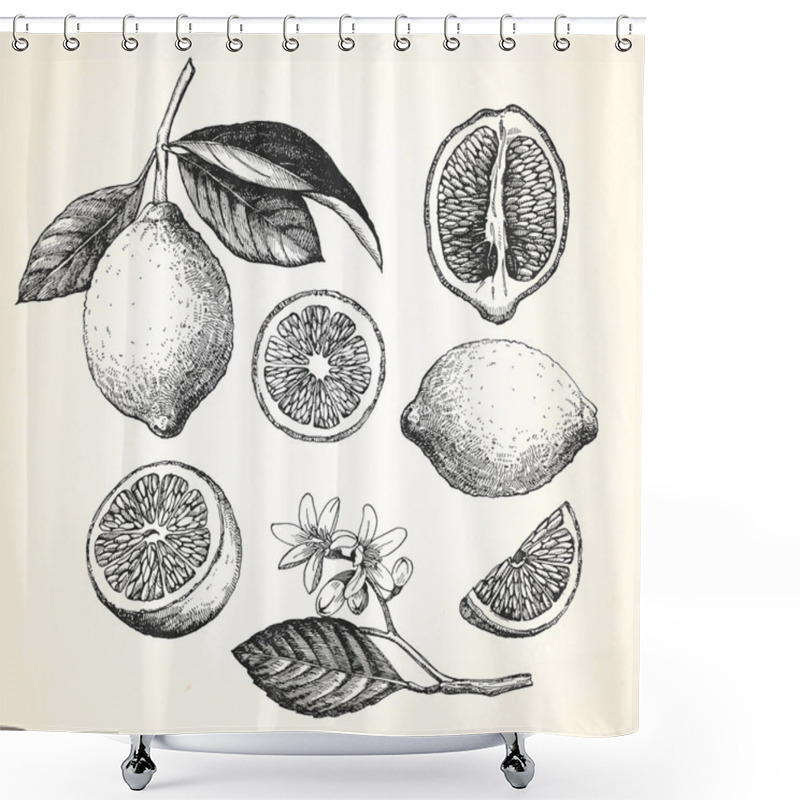 Personality  Hand-drawn Illustration Of Fruits Shower Curtains