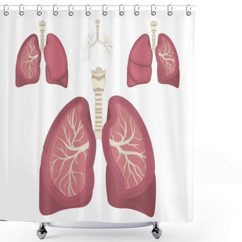 Personality  Lungs. Respiratory System Realistic Vector Illustration. Lungs In Different View. Part Of Set. Shower Curtains