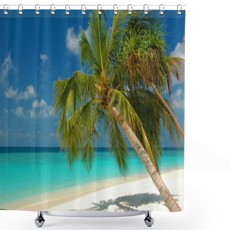 Personality  Beach With A Palm Tree Shower Curtains