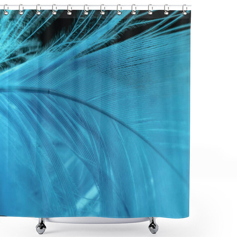 Personality  Close Up Beautiful Blue Trends  Feather Pattern Texture Background. Macro Photography View.  Shower Curtains