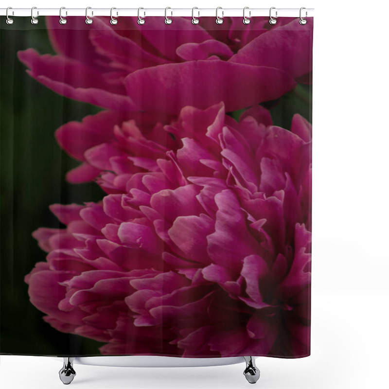 Personality  A Stunning Close-up Of A Pink Peony Flower In Full Bloom, Showcasing Its Soft Petals And Intricate Details. A Perfect Symbol Of Elegance And Natural Beauty. Shower Curtains