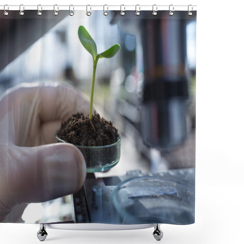 Personality  Close Up Of Biologist's Hand With Protective Gloves Holding Petri Dish With Soil And Young Plant In Front Of Microscope. Biotechnology, Plant Care And Protection Concept Shower Curtains