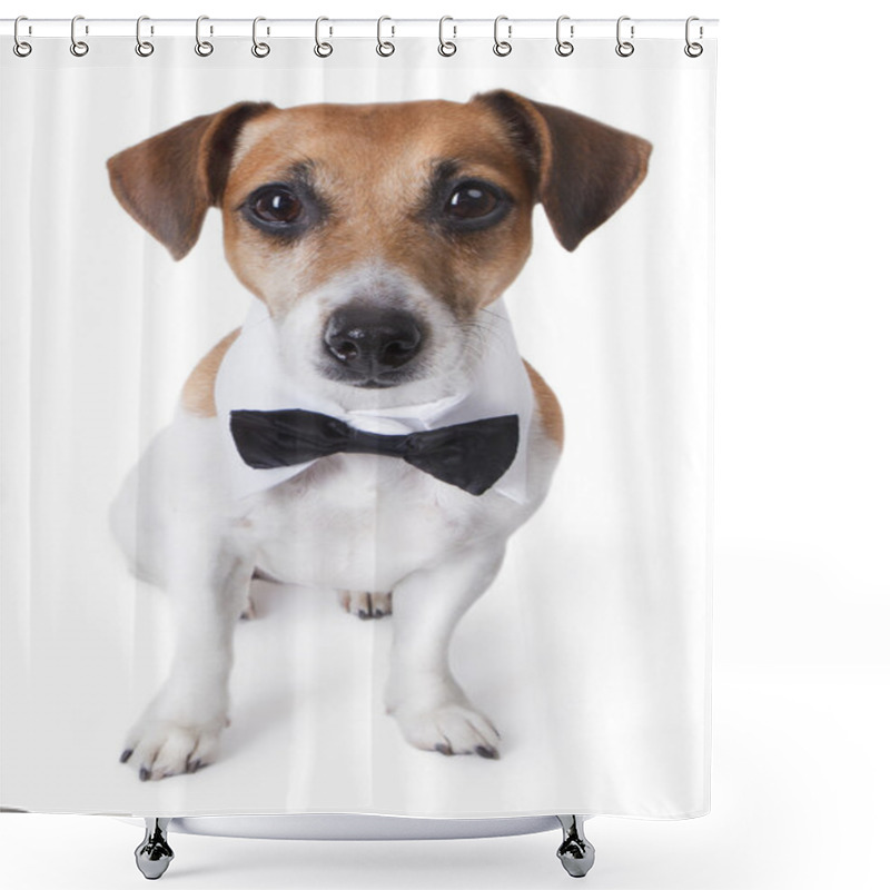 Personality  Elegant Dog With Tie Shower Curtains