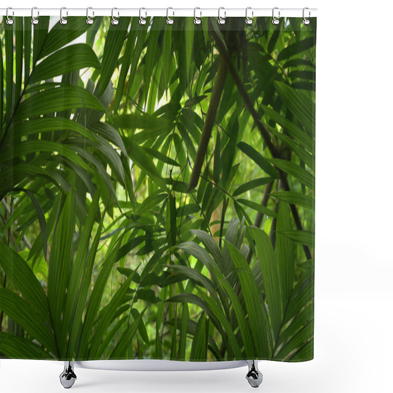 Personality  Asian Tropical Rainforest In Thailand Shower Curtains