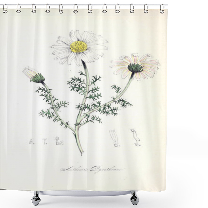 Personality  Botanical Illustration. Plant Utiliores : Or Illustrations Of Useful Plants 1845 Shower Curtains