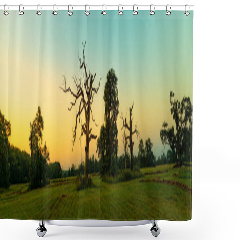 Personality  Beautiful Rogalin Oak In Summer Sunset Shower Curtains