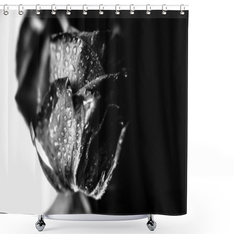 Personality  Black And White Photo Of A Rose, Fuzzy And Blurry Floral Abstract Background, Raindrops On The Flower And Leaves Shower Curtains