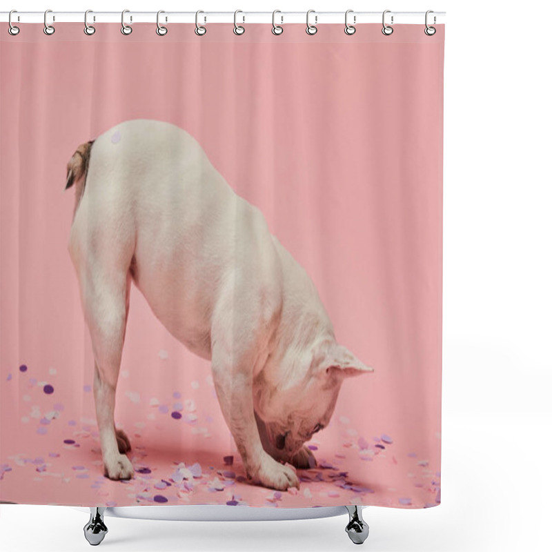 Personality  Light Coloured Dog With Head Down And Confetti On Pink Background Shower Curtains