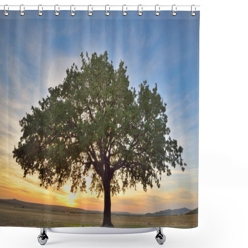 Personality  Old Oak Tree  Shower Curtains