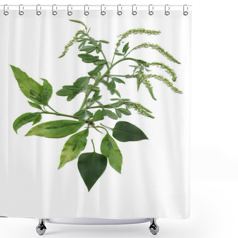 Personality  Meadow Herbs And Leaves Shower Curtains