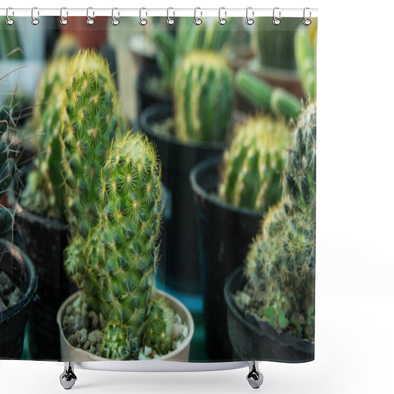 Personality  Little Cactus  On Pot , Cactus Ornamental Trees Shower Curtains