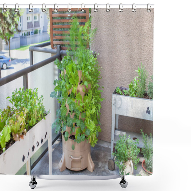 Personality  A Tall Vertical Garden Sits On An Apartment Balcony (patio) With Fresh Salad Greens, Herbs And Vegetables. Ideal Small Space And Urban Gardening Solution Shower Curtains