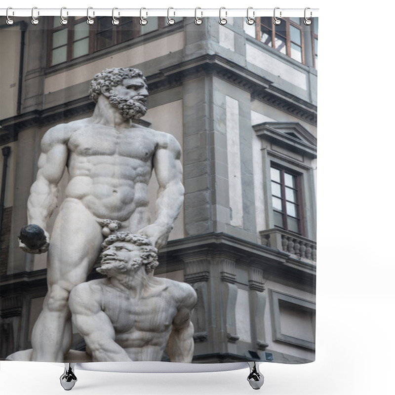 Personality  Statue Of Hercules And Persimmon Shower Curtains