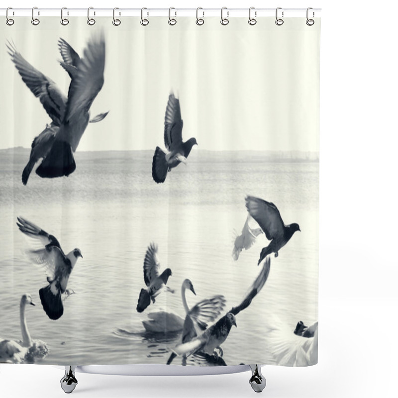 Personality  Doves In Flight Shower Curtains