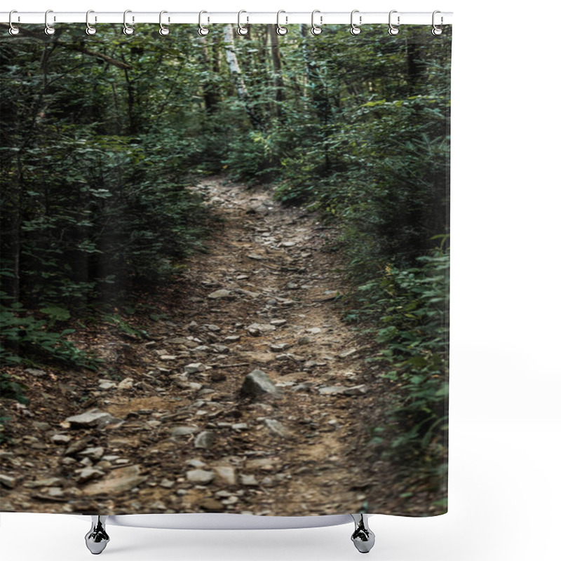 Personality  Stones On Path Near Trees In Green Woods  Shower Curtains